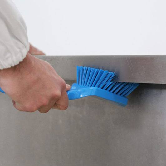 Umanjena slika proizvoda Ručna četka za čišćenje u prehrambenoj industriji, maxi